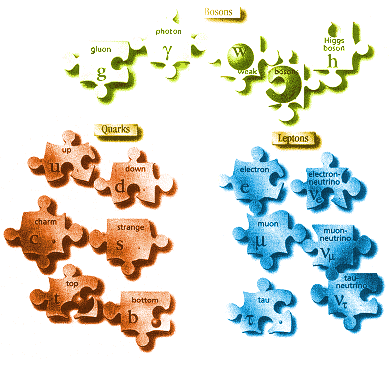 Particle Jigsaw