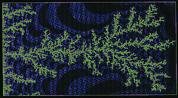 DLA (Diffusion Limited Aggregate)